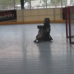 Meet your Posher, Matthew